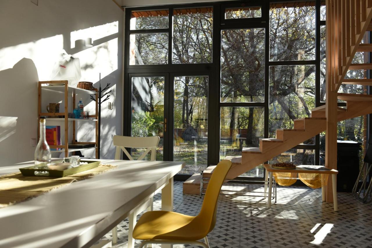 Bed and Breakfast Aster Panzio Cimpu Cetatii Экстерьер фото