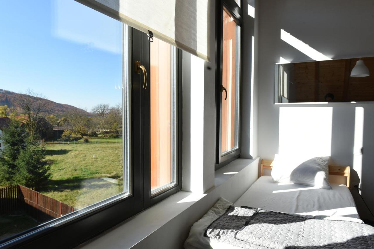 Bed and Breakfast Aster Panzio Cimpu Cetatii Экстерьер фото