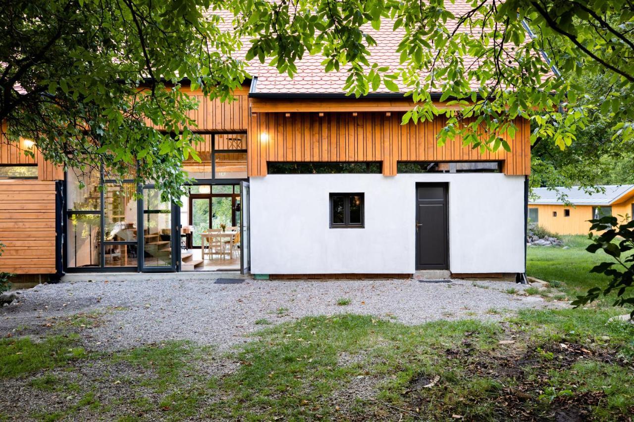 Bed and Breakfast Aster Panzio Cimpu Cetatii Экстерьер фото
