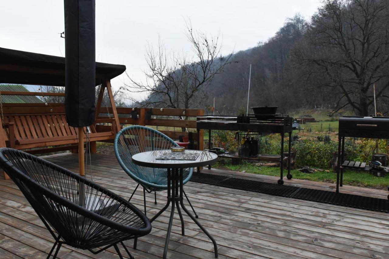 Bed and Breakfast Aster Panzio Cimpu Cetatii Экстерьер фото